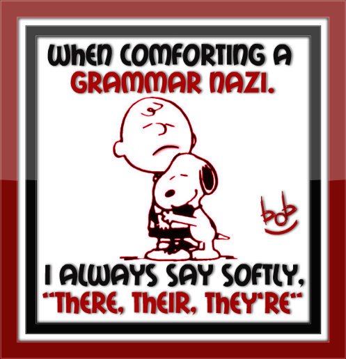 when-comforting-a-grammar-nazi-i-always-say-their-there-they-re