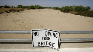 No Diving from bridge