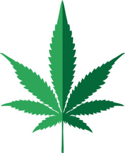 marijuana possession in DC